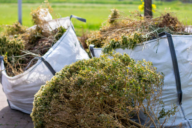 Best Office Junk Removal  in Holley, NY