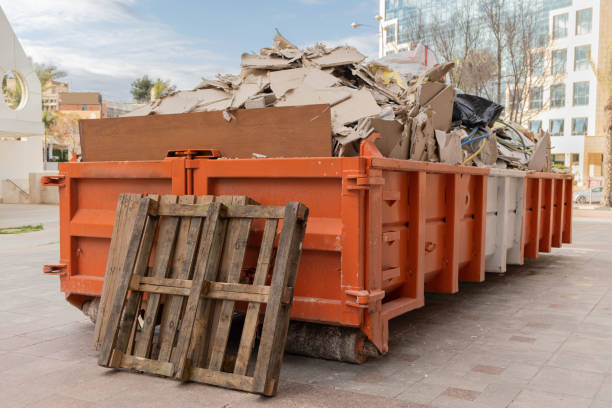 Best Professional Junk Removal  in Holley, NY